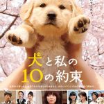 10 lời hứa với chú chó của tôi (10 Promises to My Dog) 2008