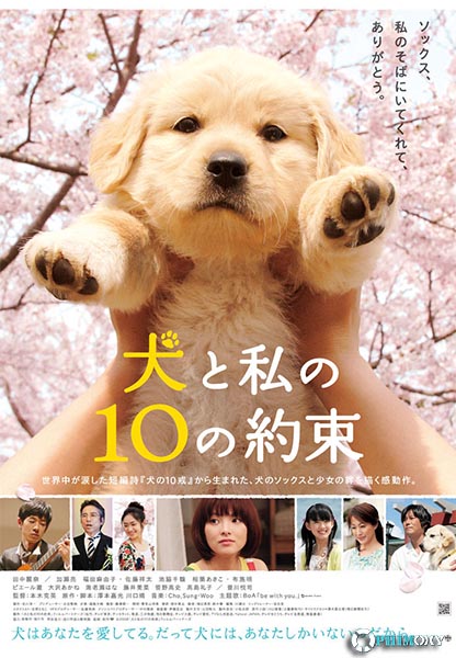 10 lời hứa với chú chó của tôi (10 Promises to My Dog) 2008 poster