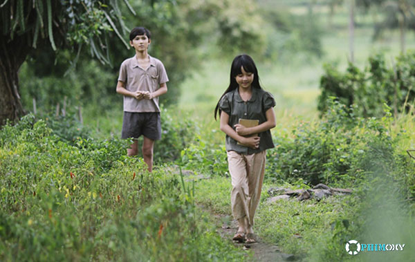 Tôi Thấy Hoa Vàng Trên Cỏ Xanh (Yellow Flowers on the Green Grass) 2015 - 4