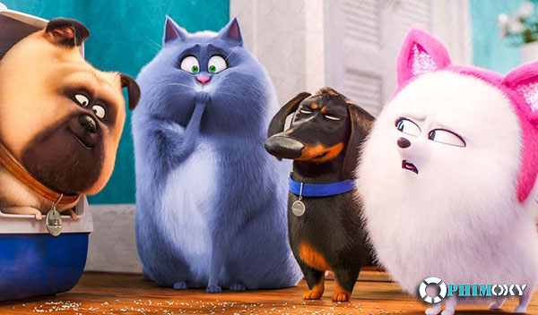 Đẳng Cấp Thú Cưng 2 (The Secret Life Of Pets 2) 2019 - 3